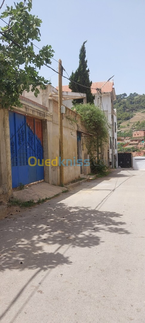 Vente Terrain Tipaza Cherchell