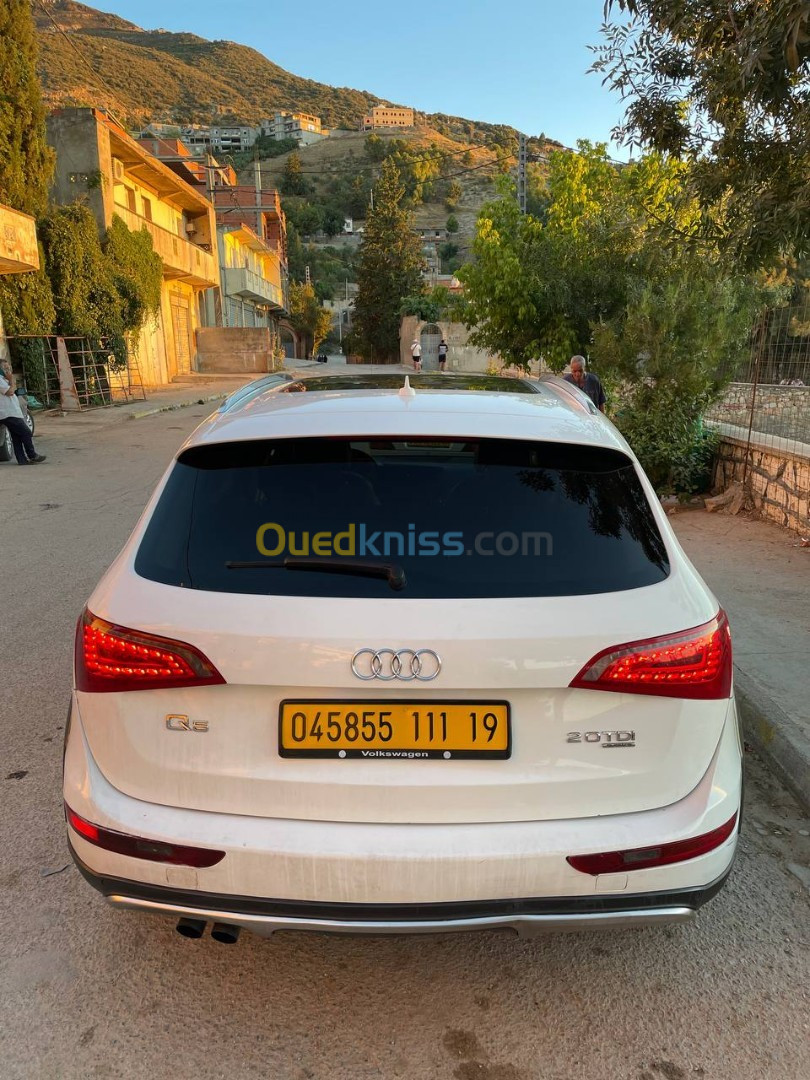 Audi Q5 2011 Off Road