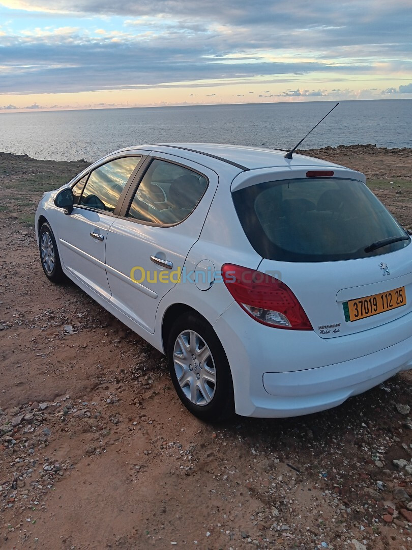 Peugeot 207 2012 Fennec