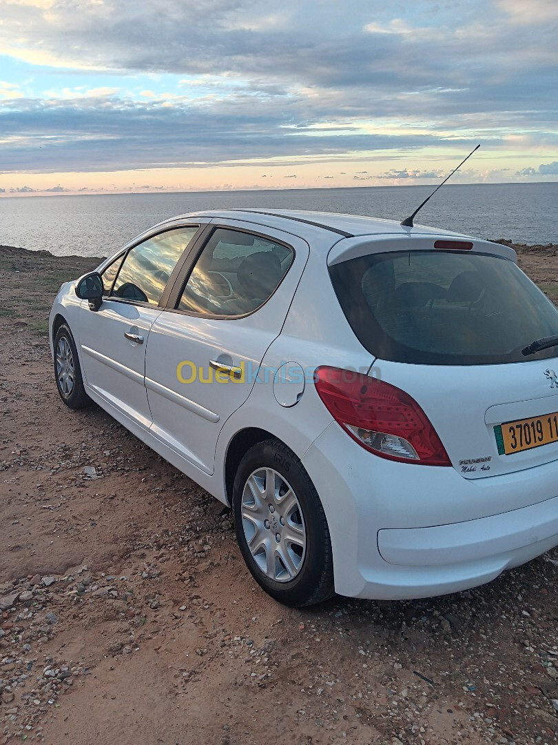 Peugeot 207 2012 Fennec