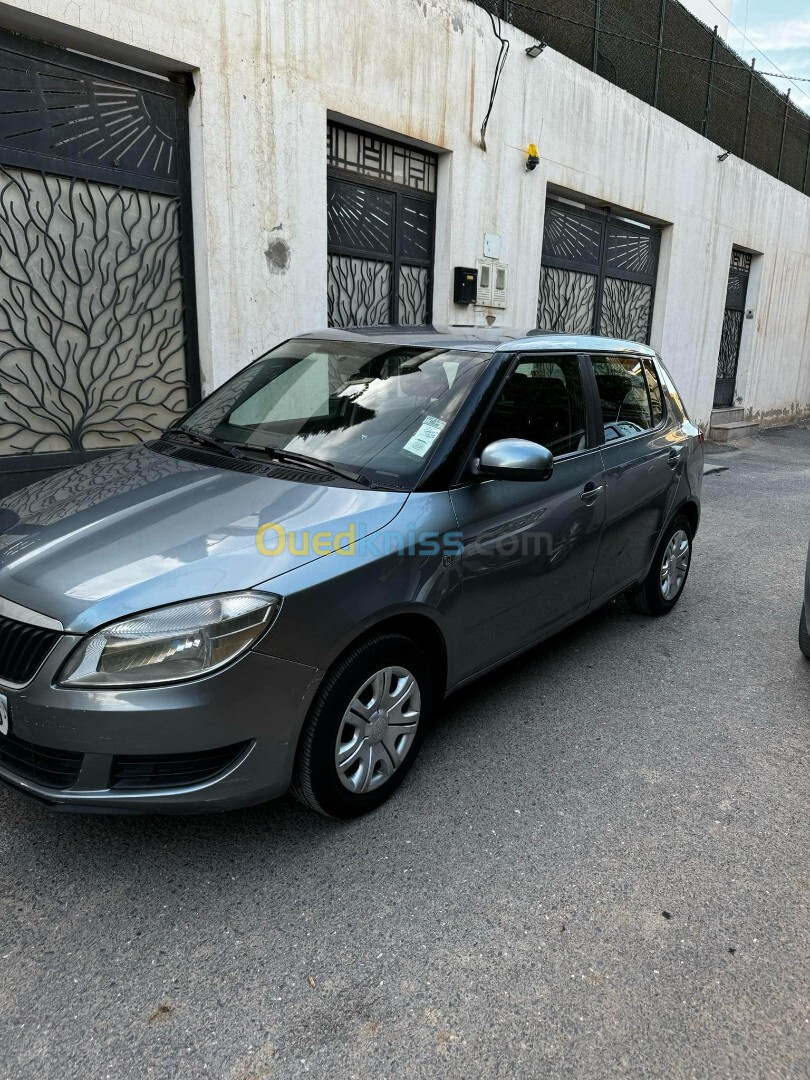 Skoda Fabia 2013 Anbision