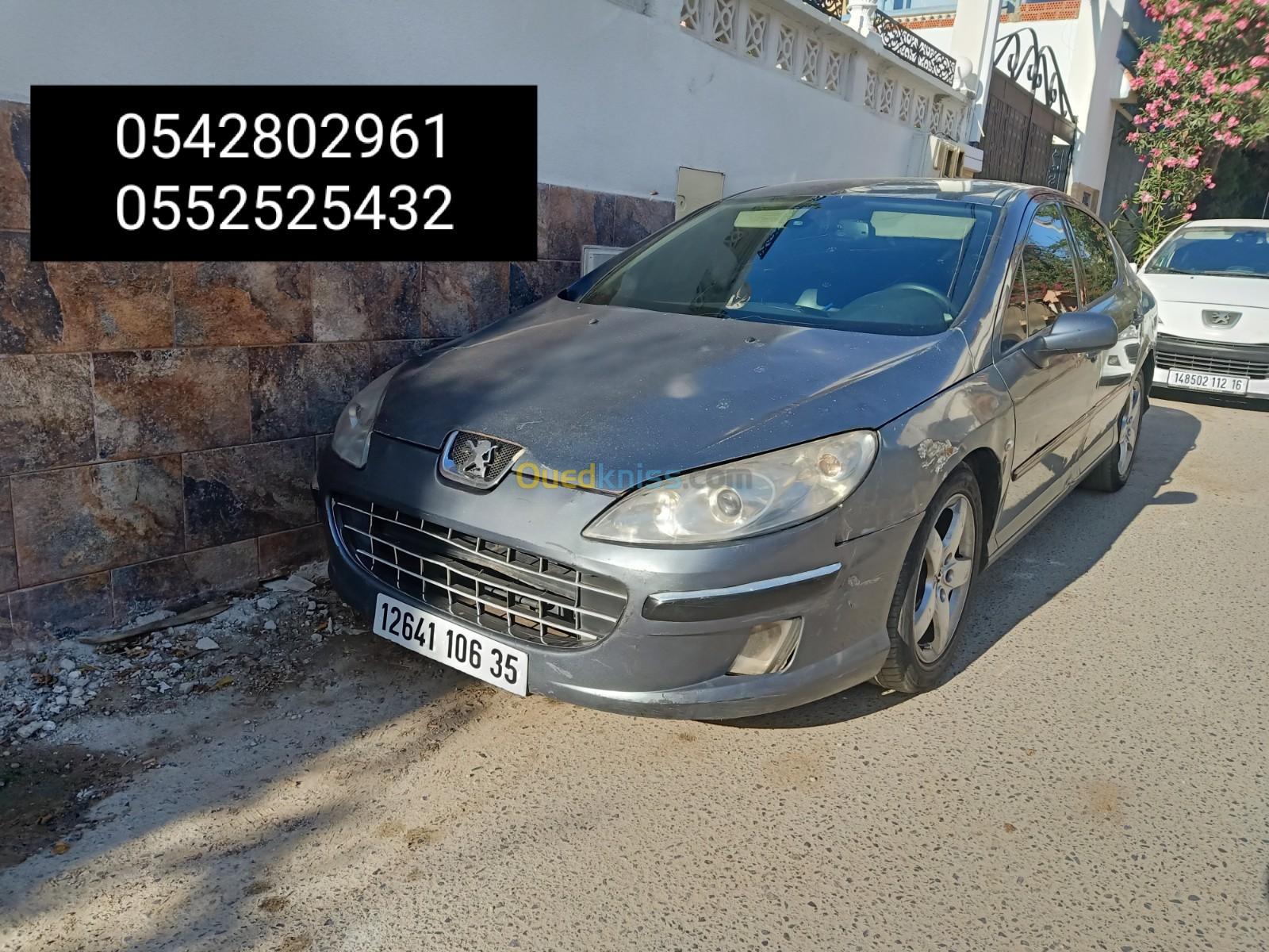 Peugeot 407 2006 