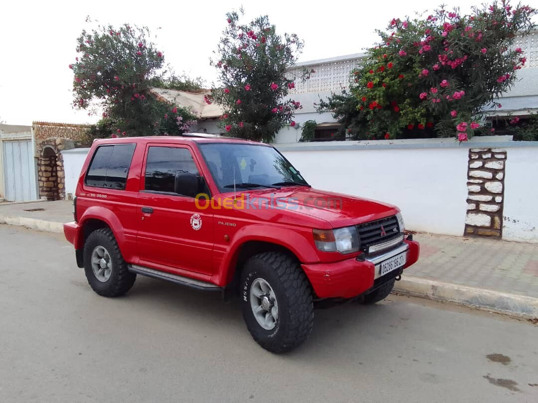 Mitsubishi Pajero Court 1996 