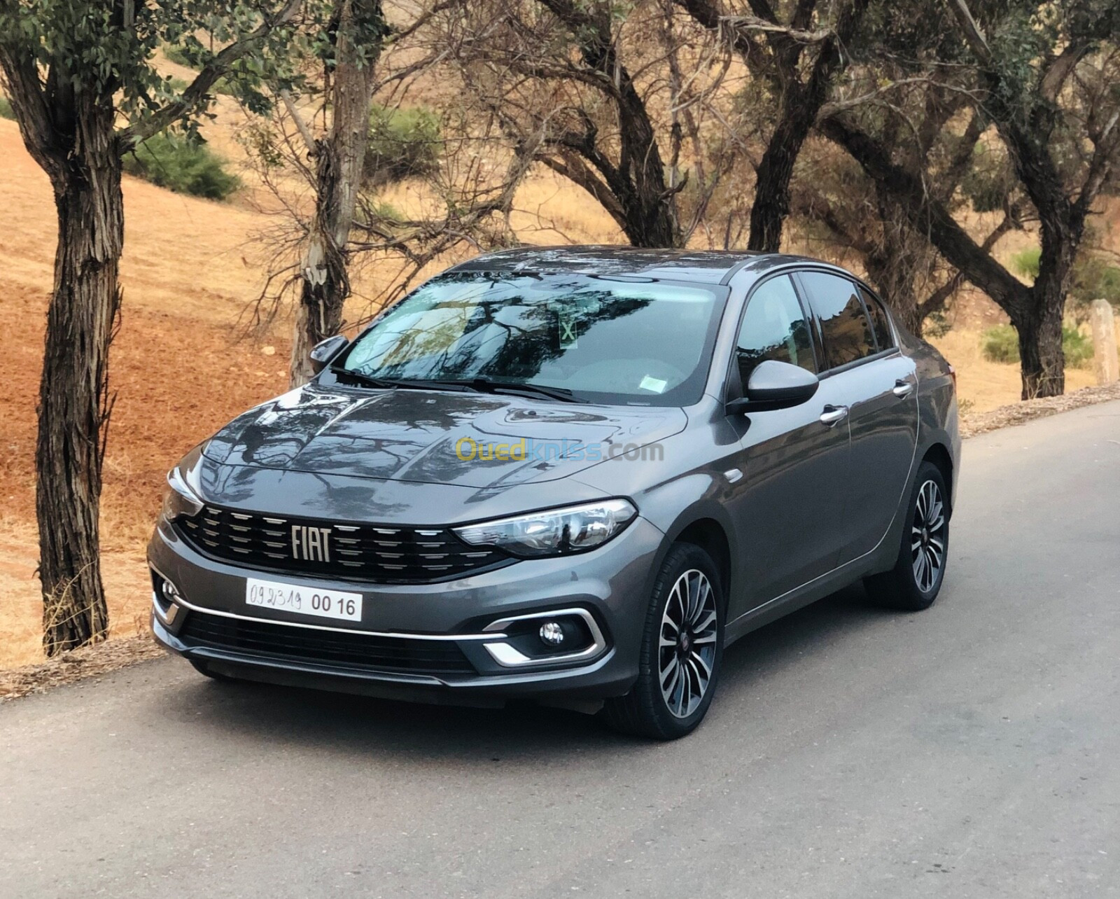 Fiat tipo 2024 life