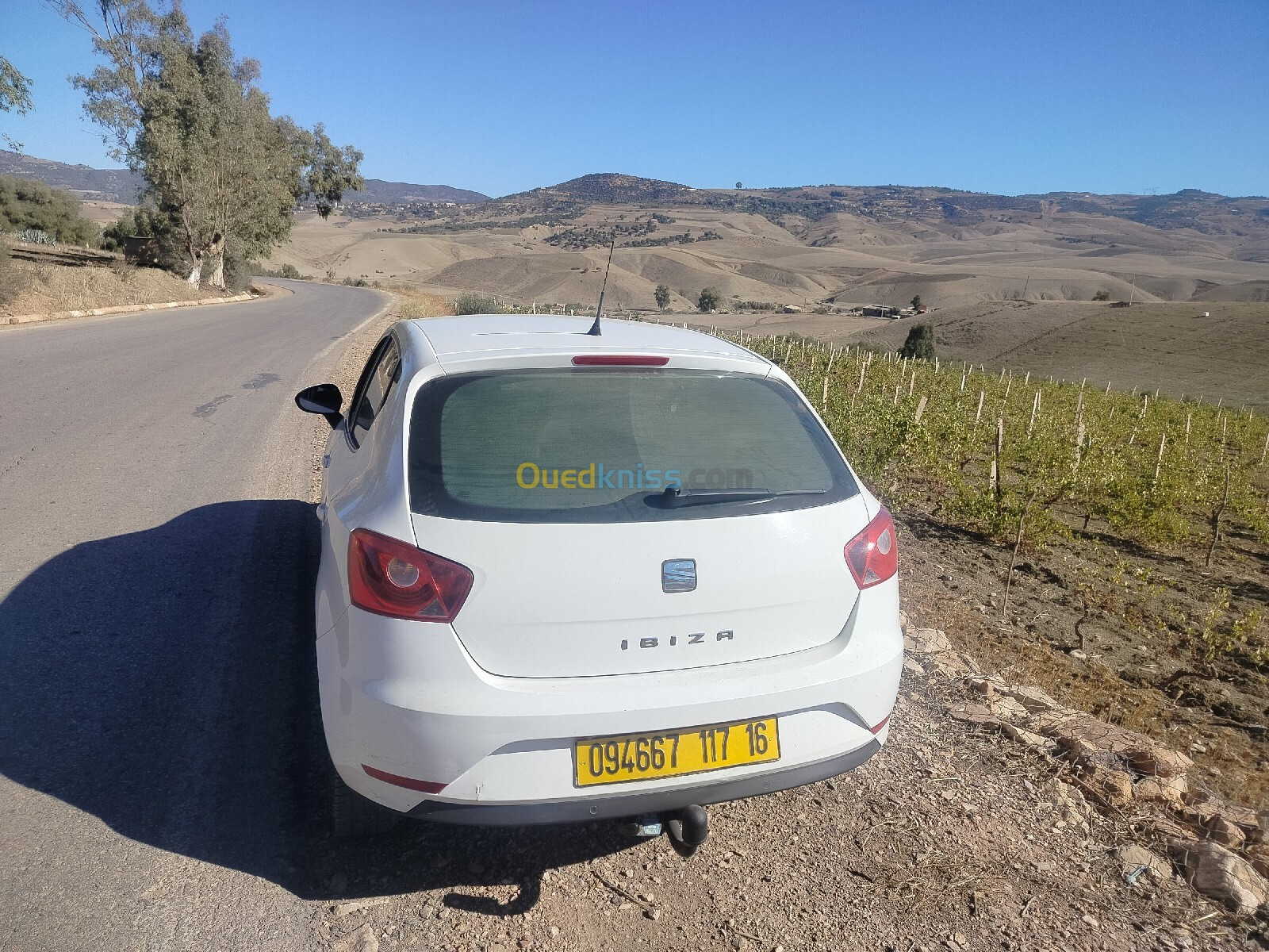 Seat Ibiza 2017 