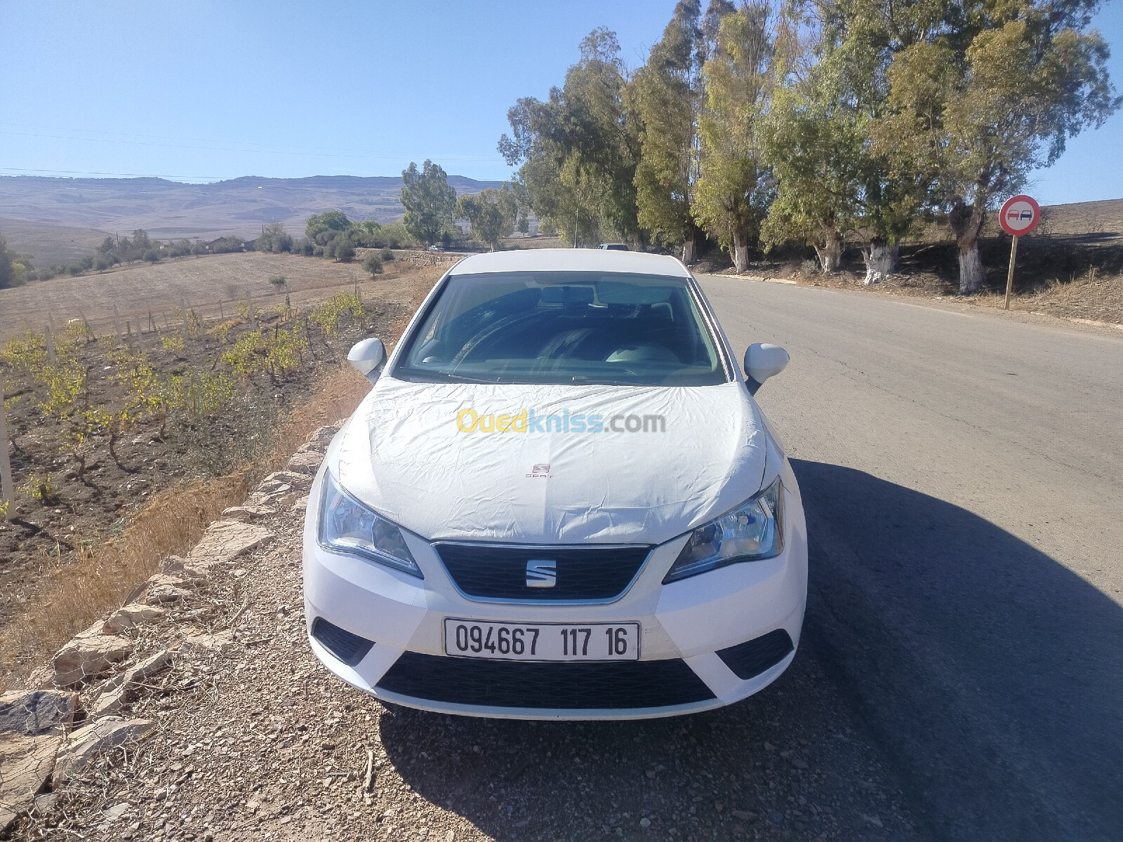 Seat Ibiza 2017 