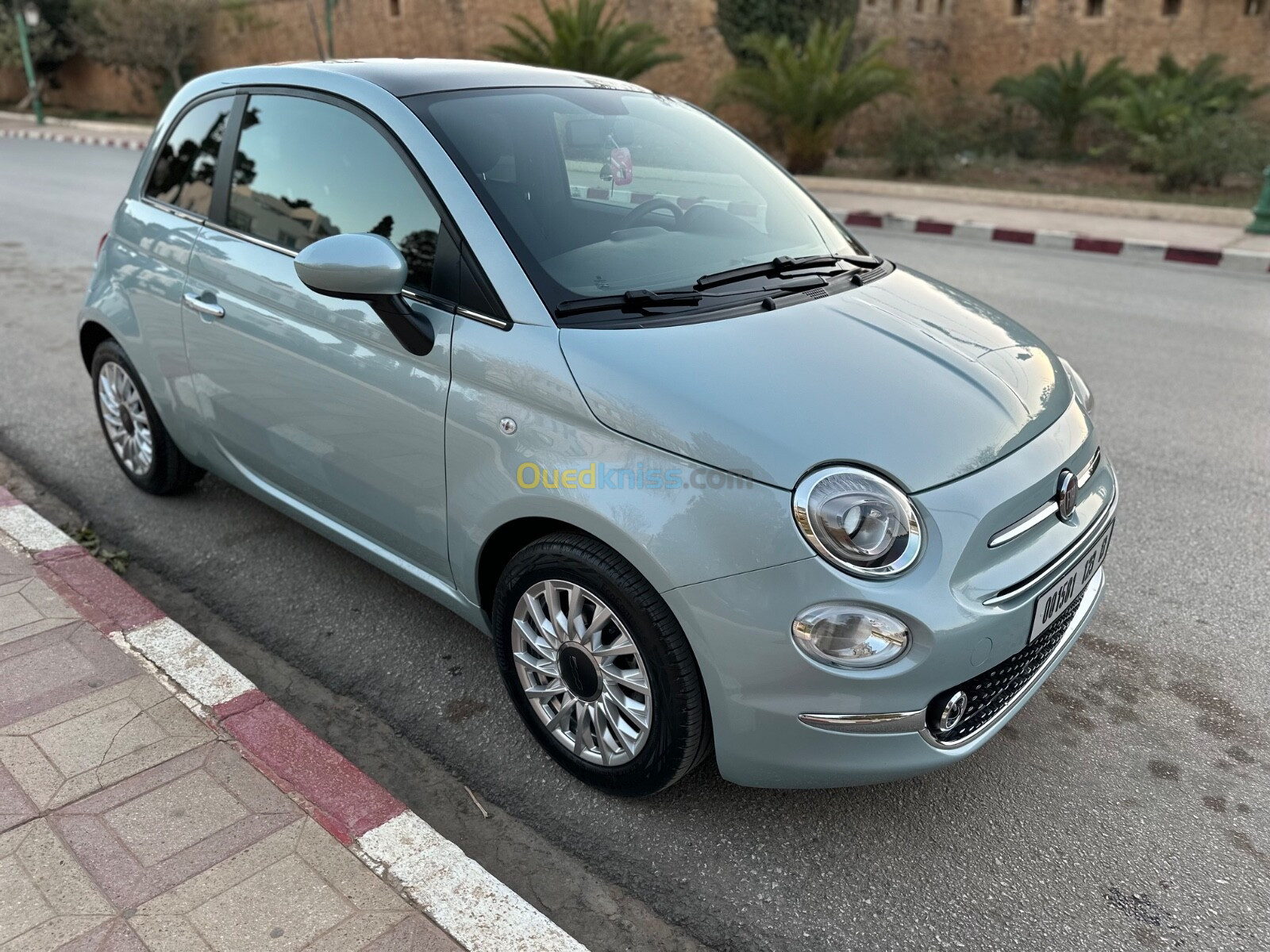 Fiat 500 2023 Club