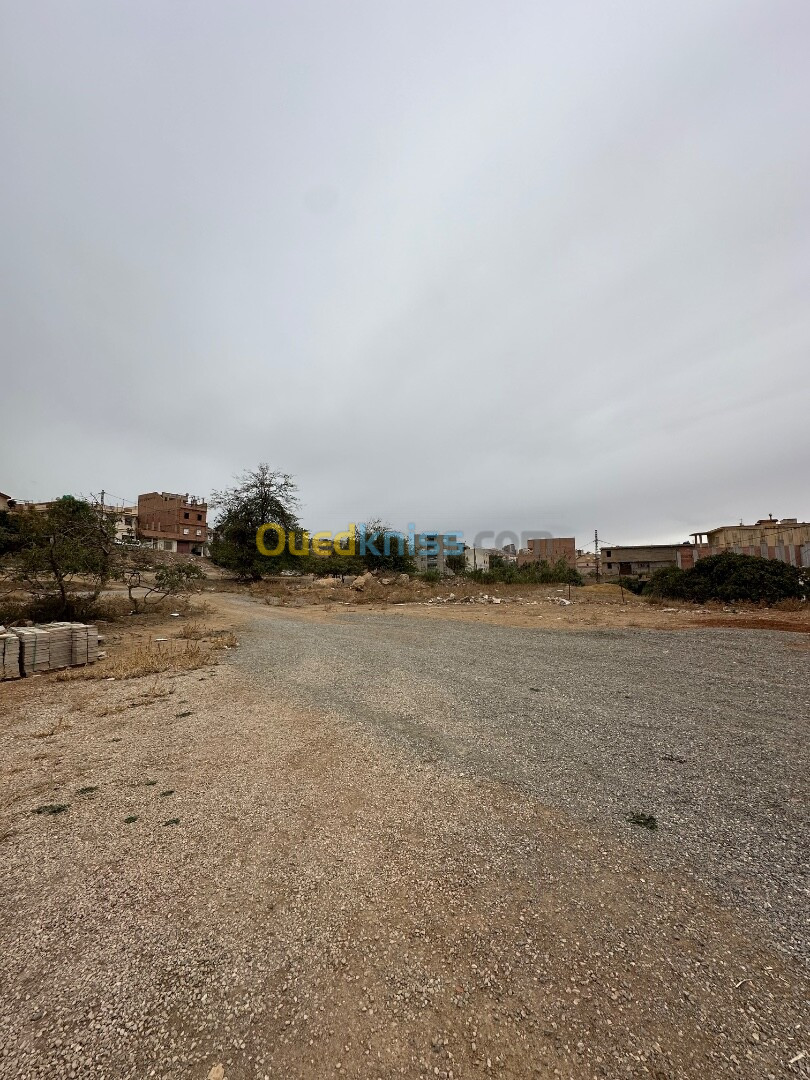 Vente Terrain Tlemcen Tlemcen