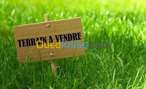 Vente Terrain Mila Oued seguen