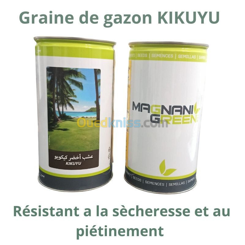 Graine de Gazon KIKUYU 