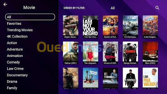 Rivolut player Lecteur pour IPTV en gros pour Samsung et LG et Android 