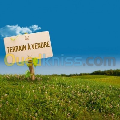 Vente Terrain Blida Blida