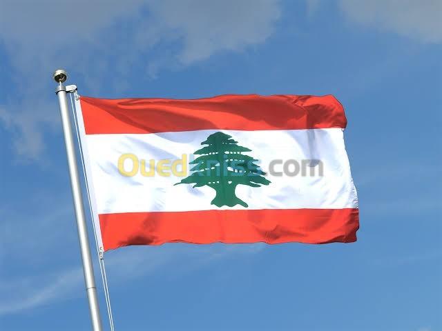 Visa sticker Liban 