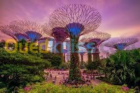 Singapour 