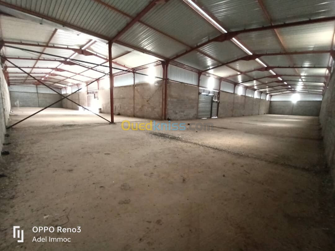 Location Hangar El Tarf Beni amar