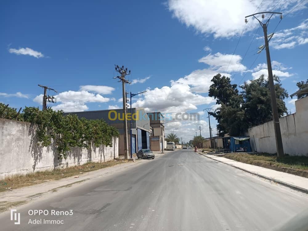 Vente Hangar Annaba El hadjar