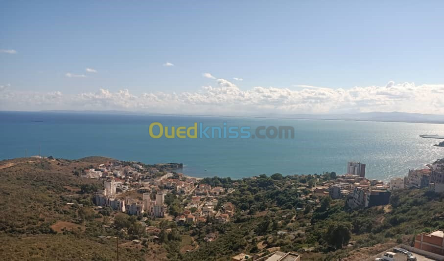 Location Local Annaba Annaba