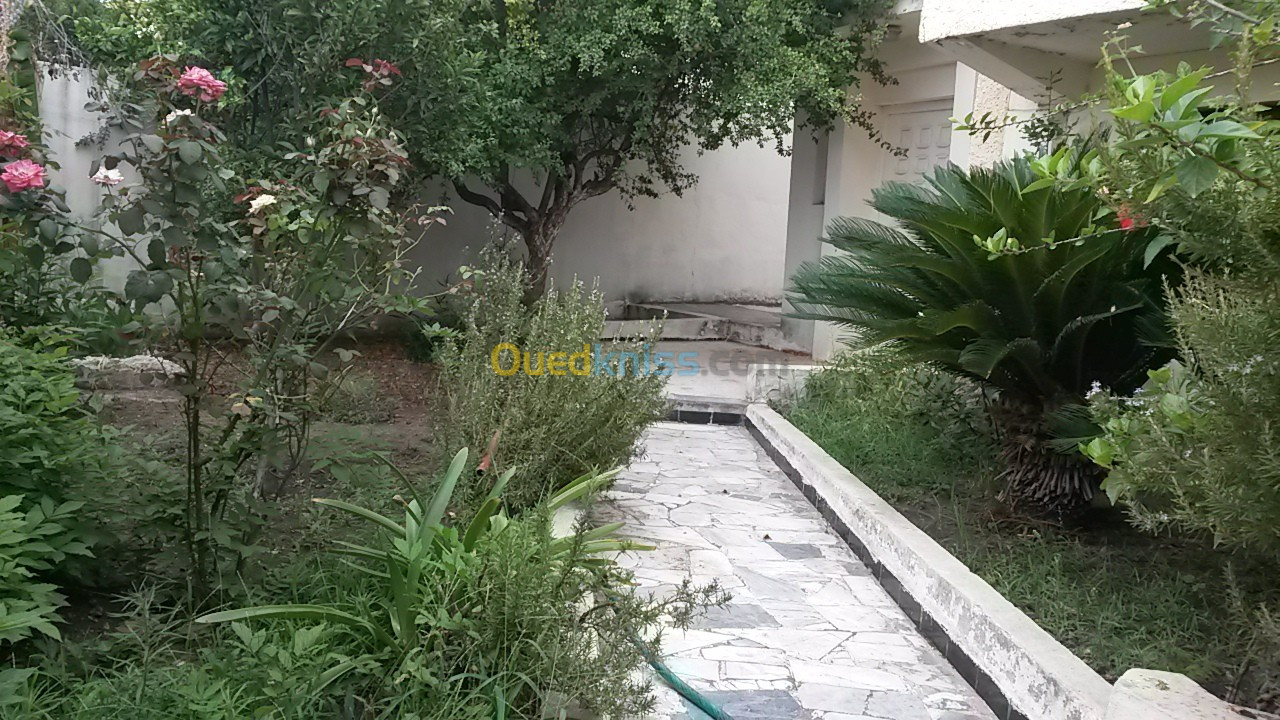 Location Villa Annaba Annaba