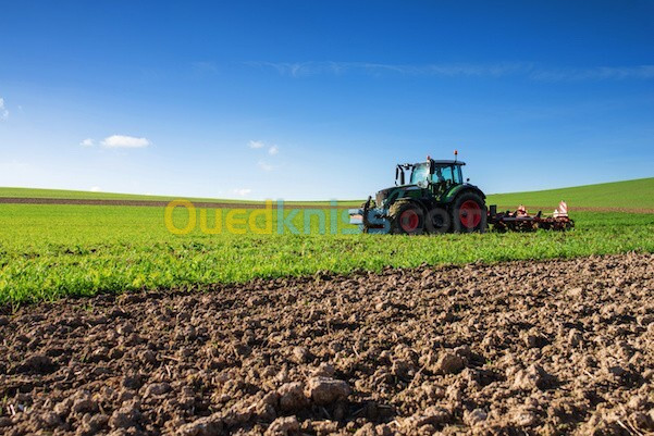 Vente Terrain Agricole Annaba Ain berda