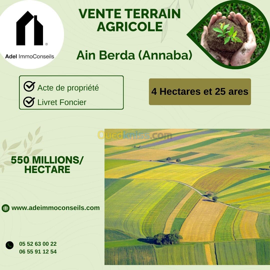 Vente Terrain Agricole Annaba Ain berda