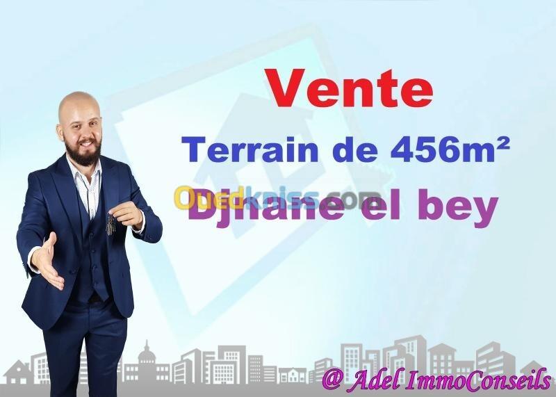 Vente Terrain Annaba Annaba