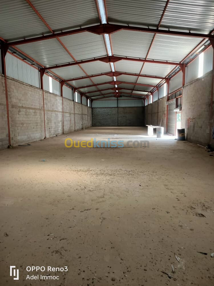 Location Hangar El Tarf Beni amar