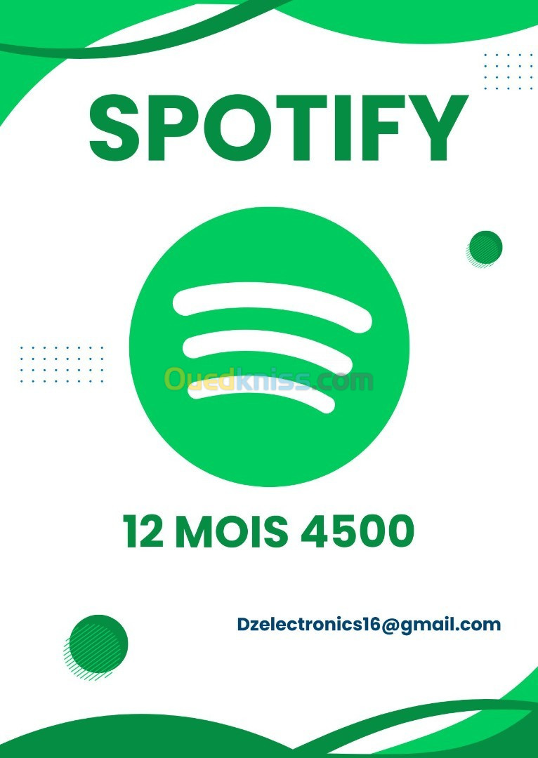 Spotify Premium  Abonnement de 12 mois