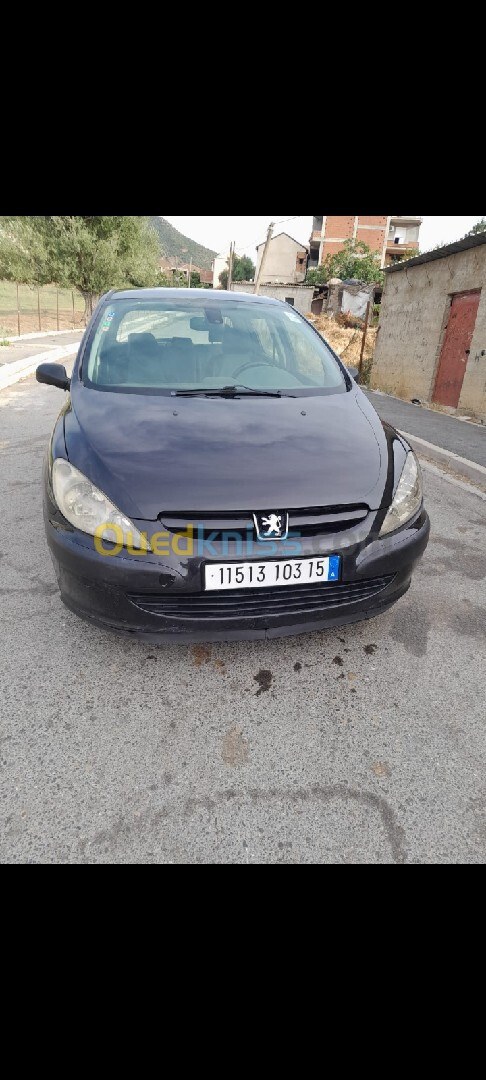 Peugeot 307 2003 307