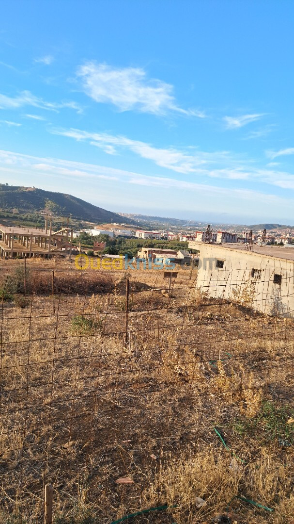 Vente Terrain Boumerdès Larbatache