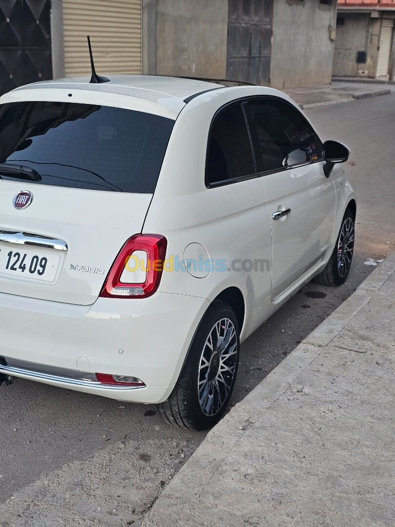 Fiat 500 2024 Dolchivita