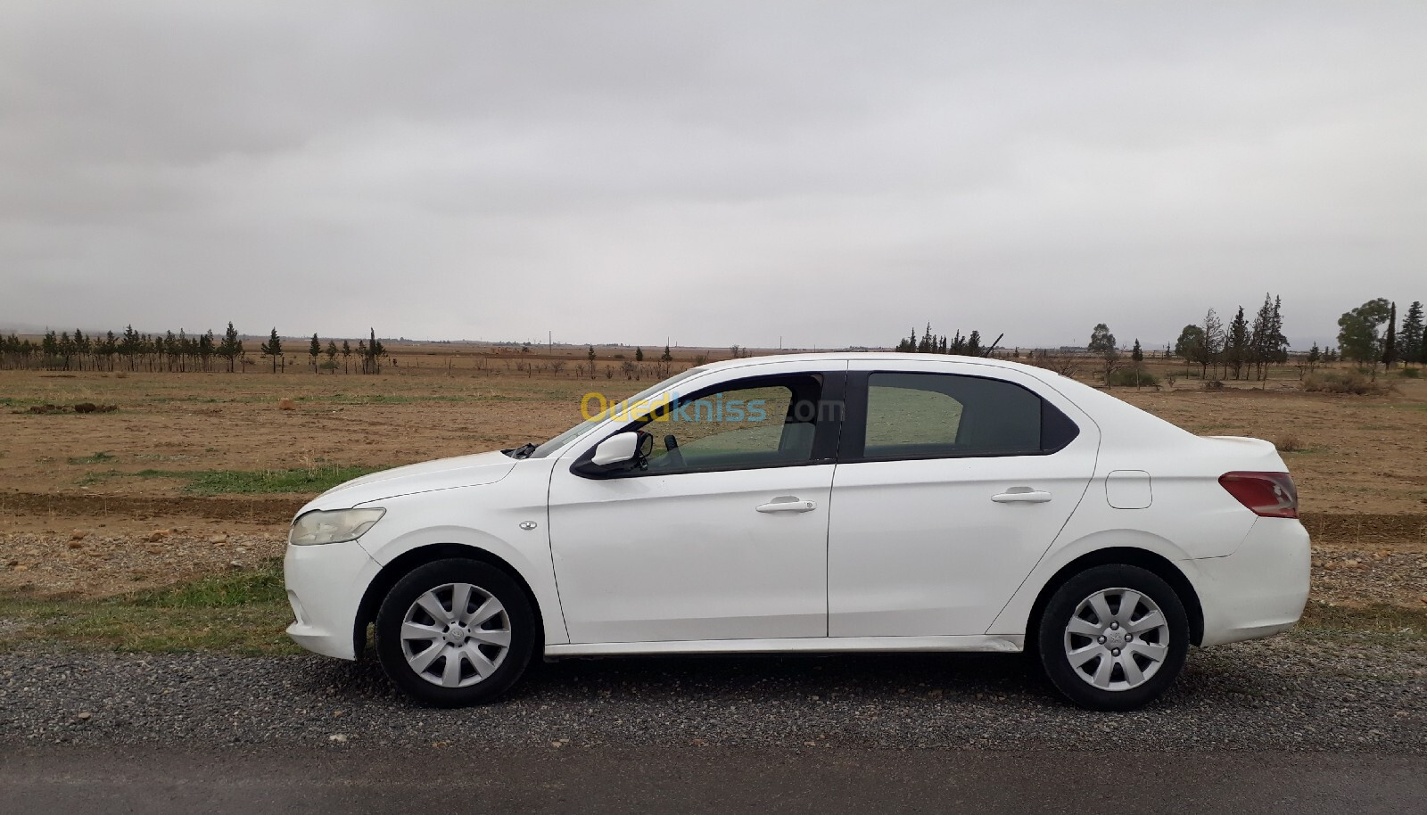 Peugeot 301 2013 Active