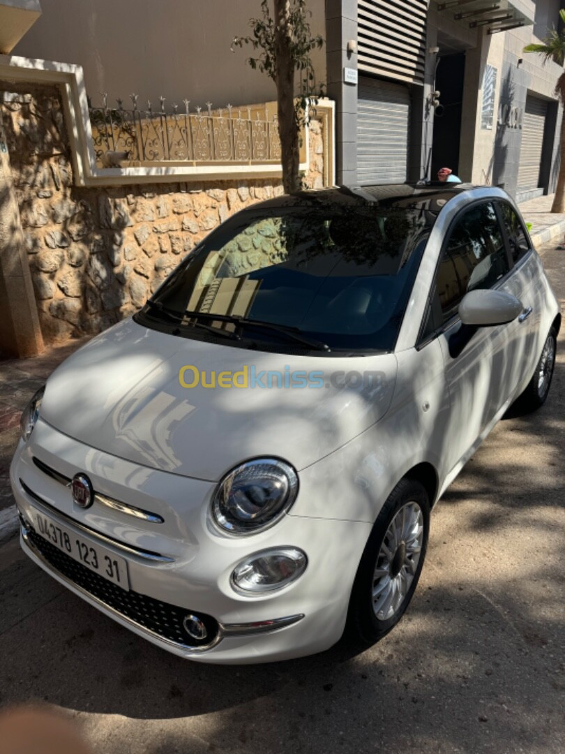 Fiat 500 2023 club