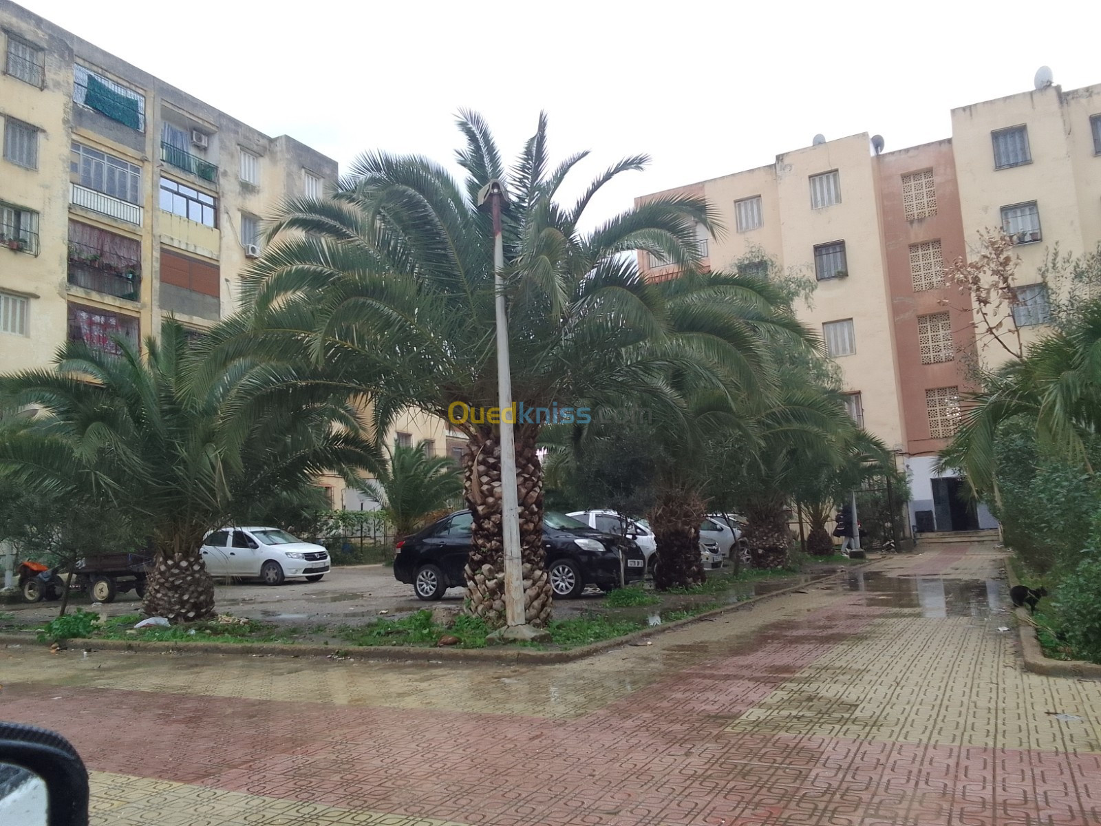 Vente Appartement F3 Blida Bougara