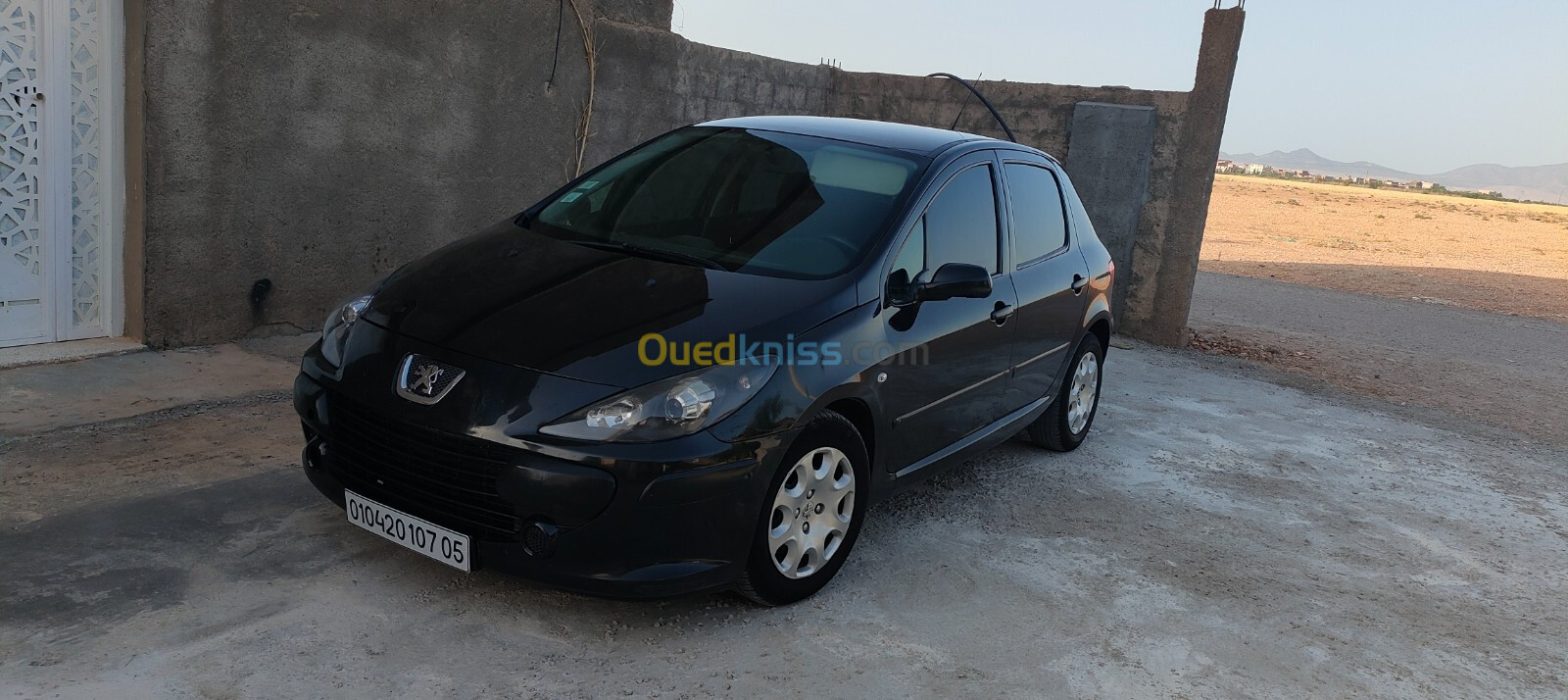 Peugeot 307 2007 307