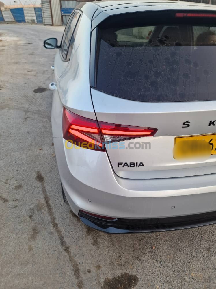 Skoda Fabia 2018 Monte Carlo