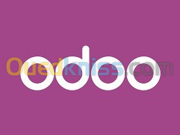 Ingénieur développement ODOO