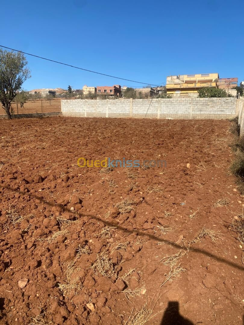 Vente Terrain Tlemcen Dar yaghmouracene