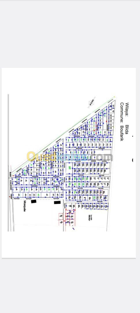 Vente Terrain Blida Boufarik