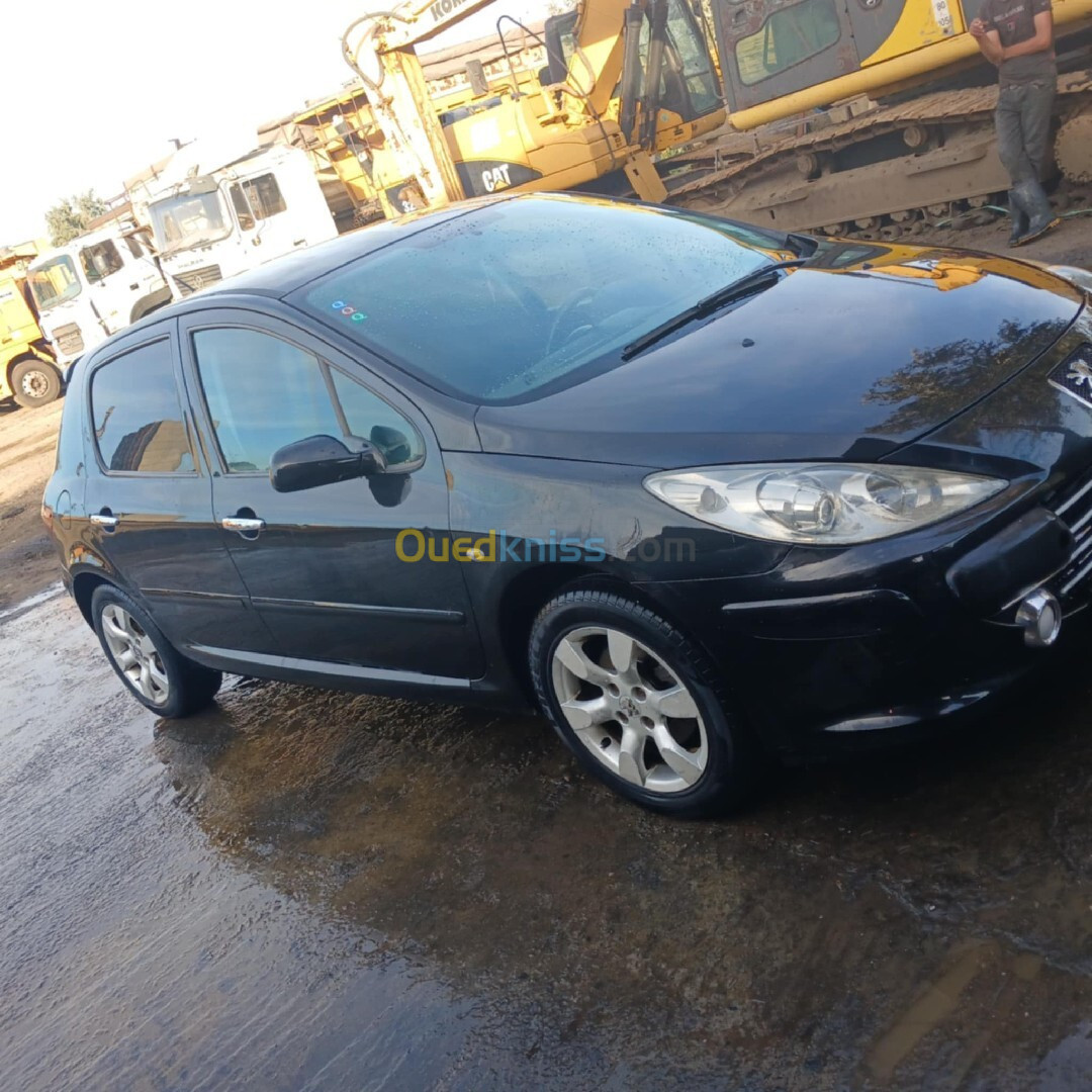 Peugeot 307 2007 Oxygo