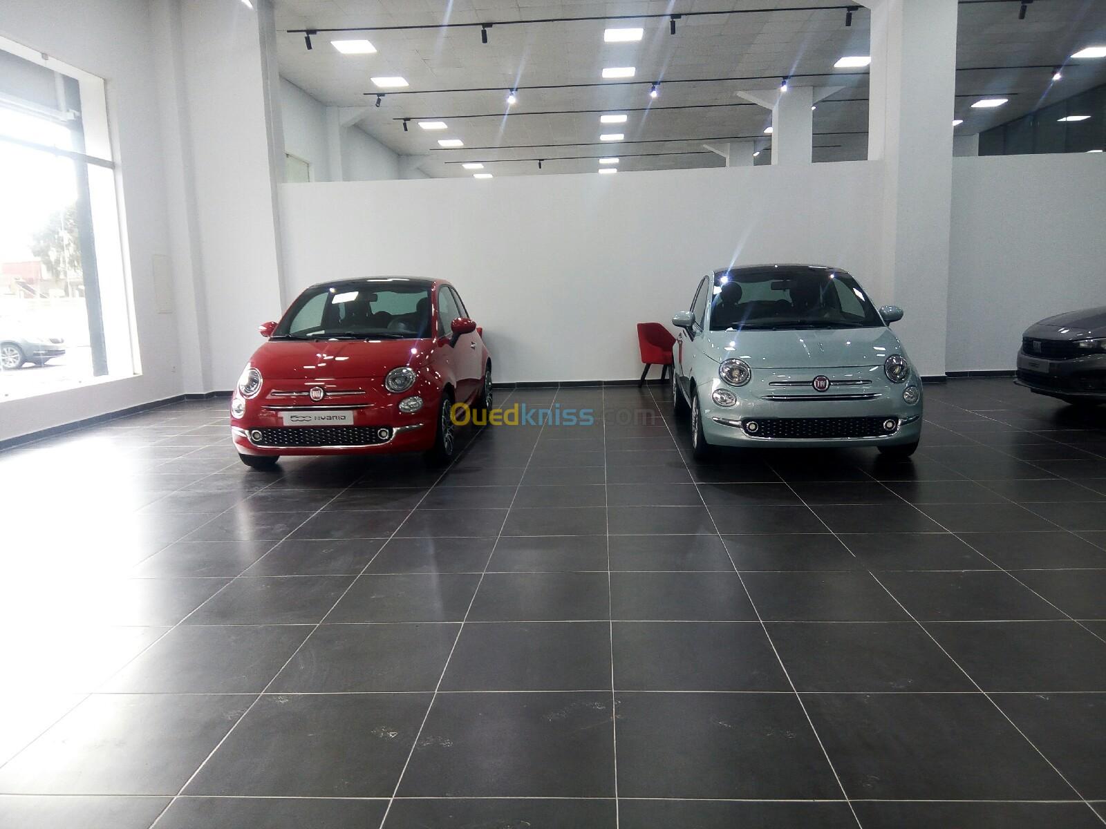 Fiat 500 500x Tipo doblo scudo ducato 2023 Neufs