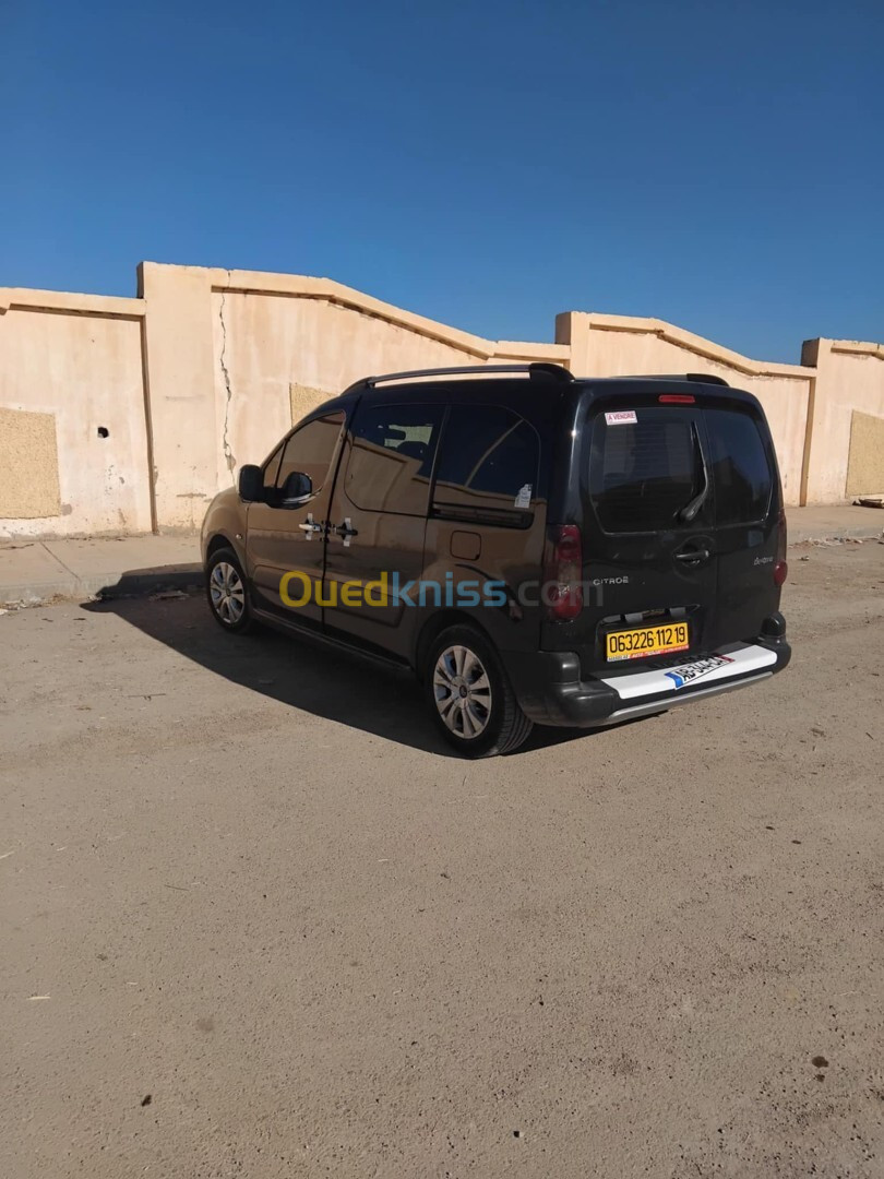 Citroen Berlingo 2012 Berlingo