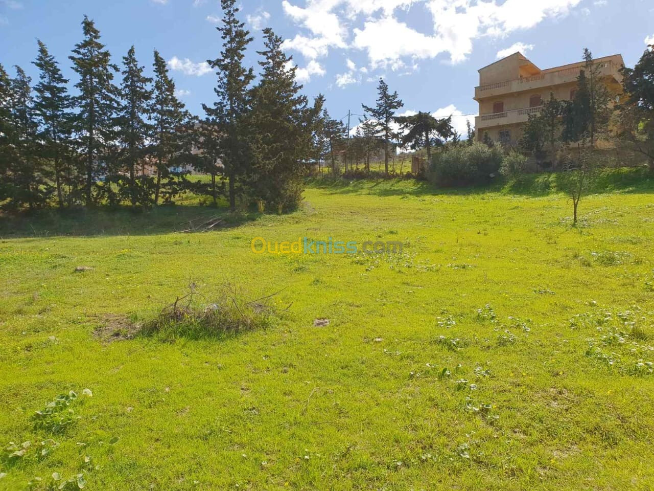 Vente Terrain Tipaza Cherchell