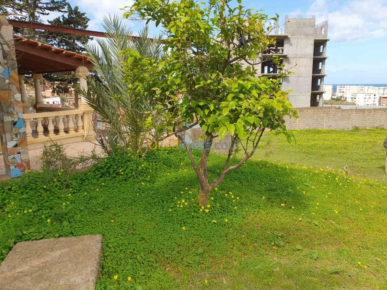 Vente Terrain Tipaza Cherchell