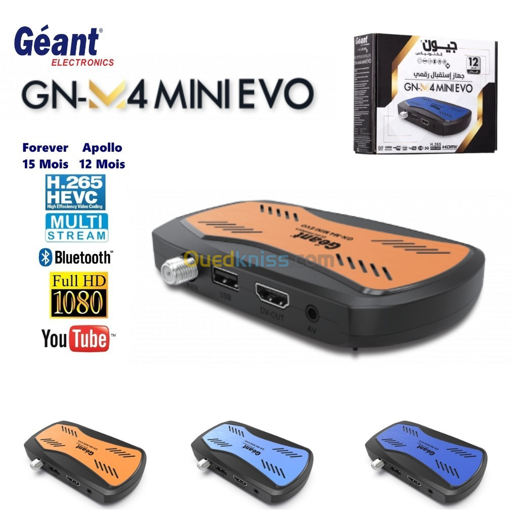 Géant Démodulateur GN-M4 Mini Evo (12 Mois IPTV, 18 Mois Serveur