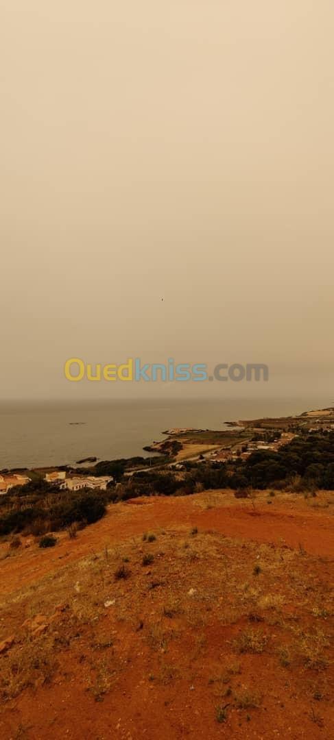 Location Niveau De Villa Tipaza Ain tagourait