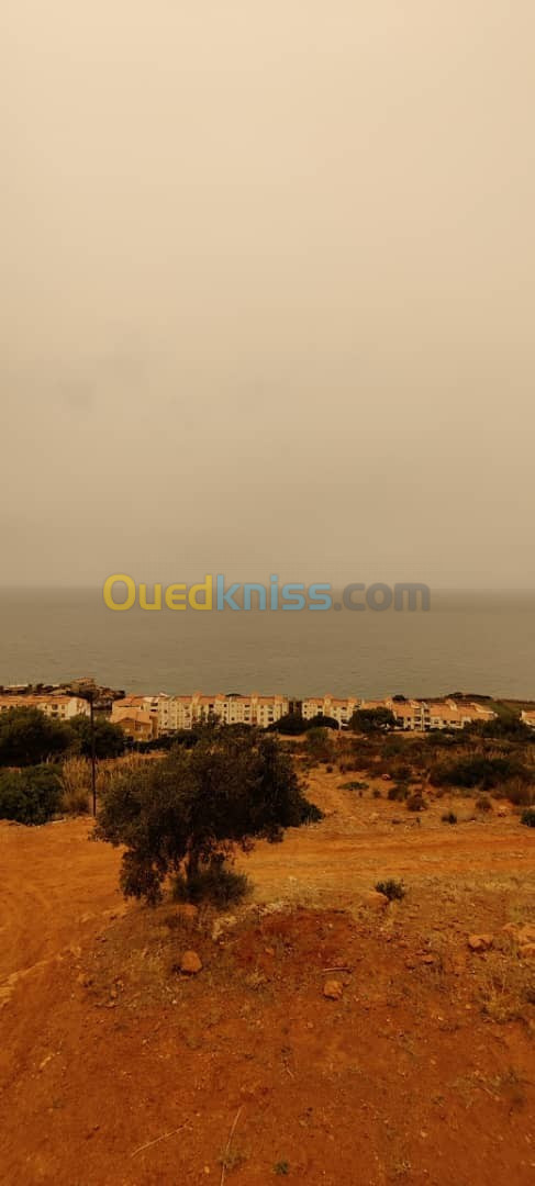 Location Niveau De Villa Tipaza Ain tagourait