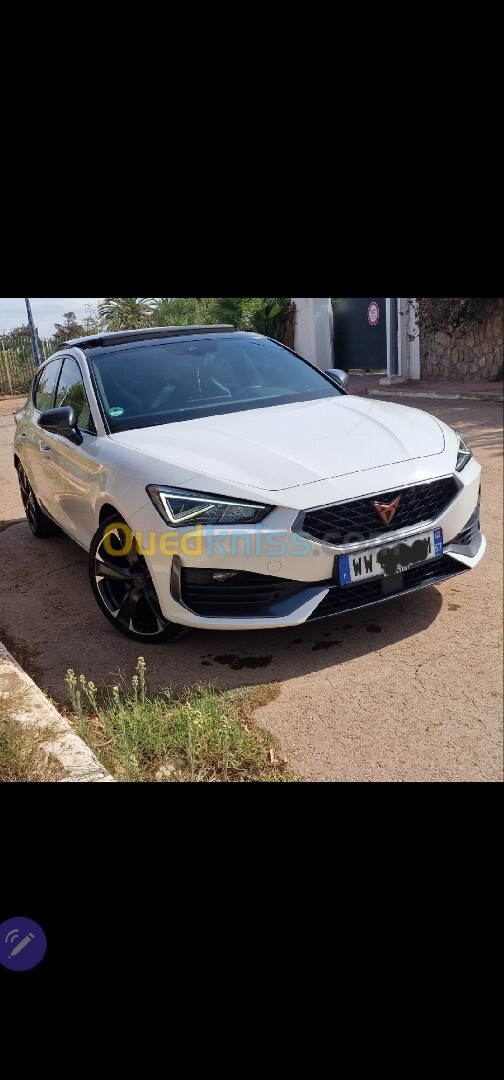 Seat Cupra 2022 Cupra