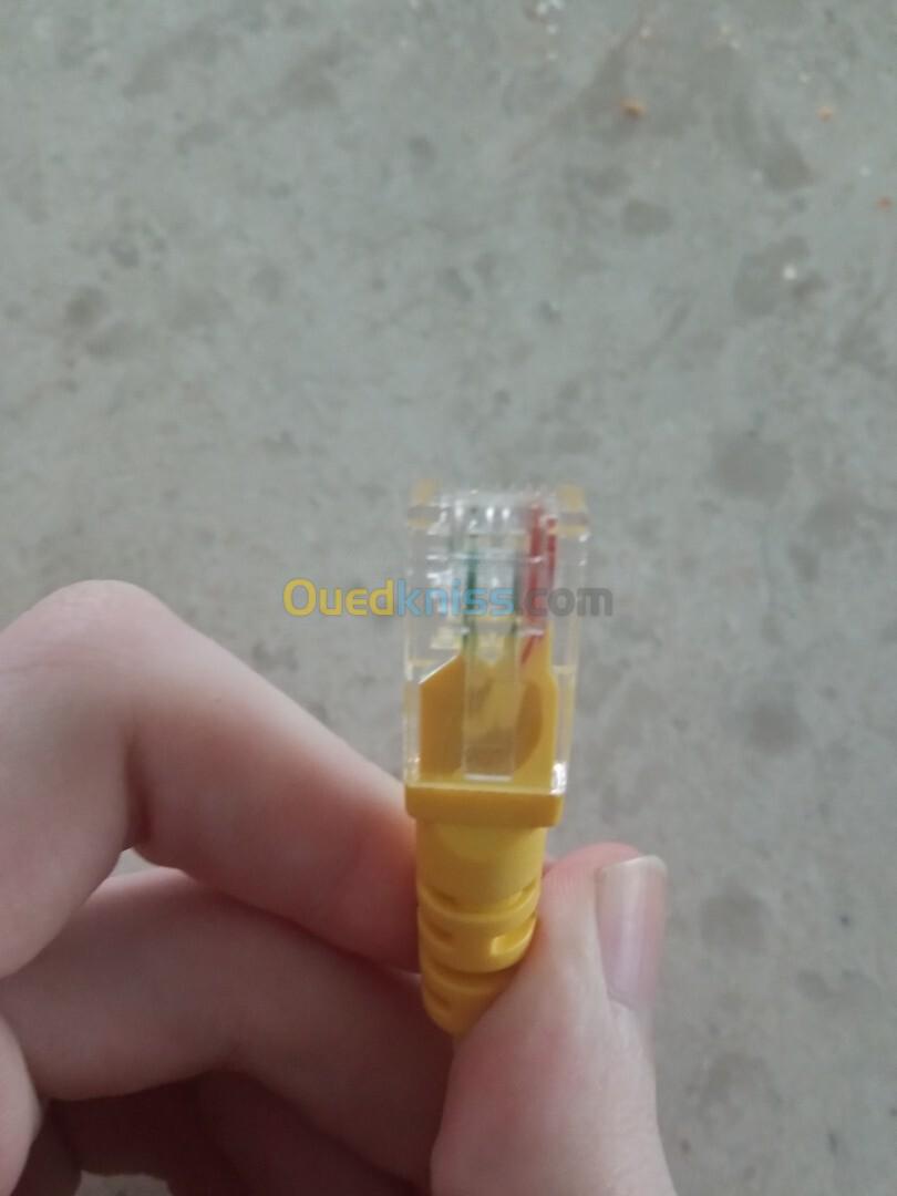 cable lan wifi