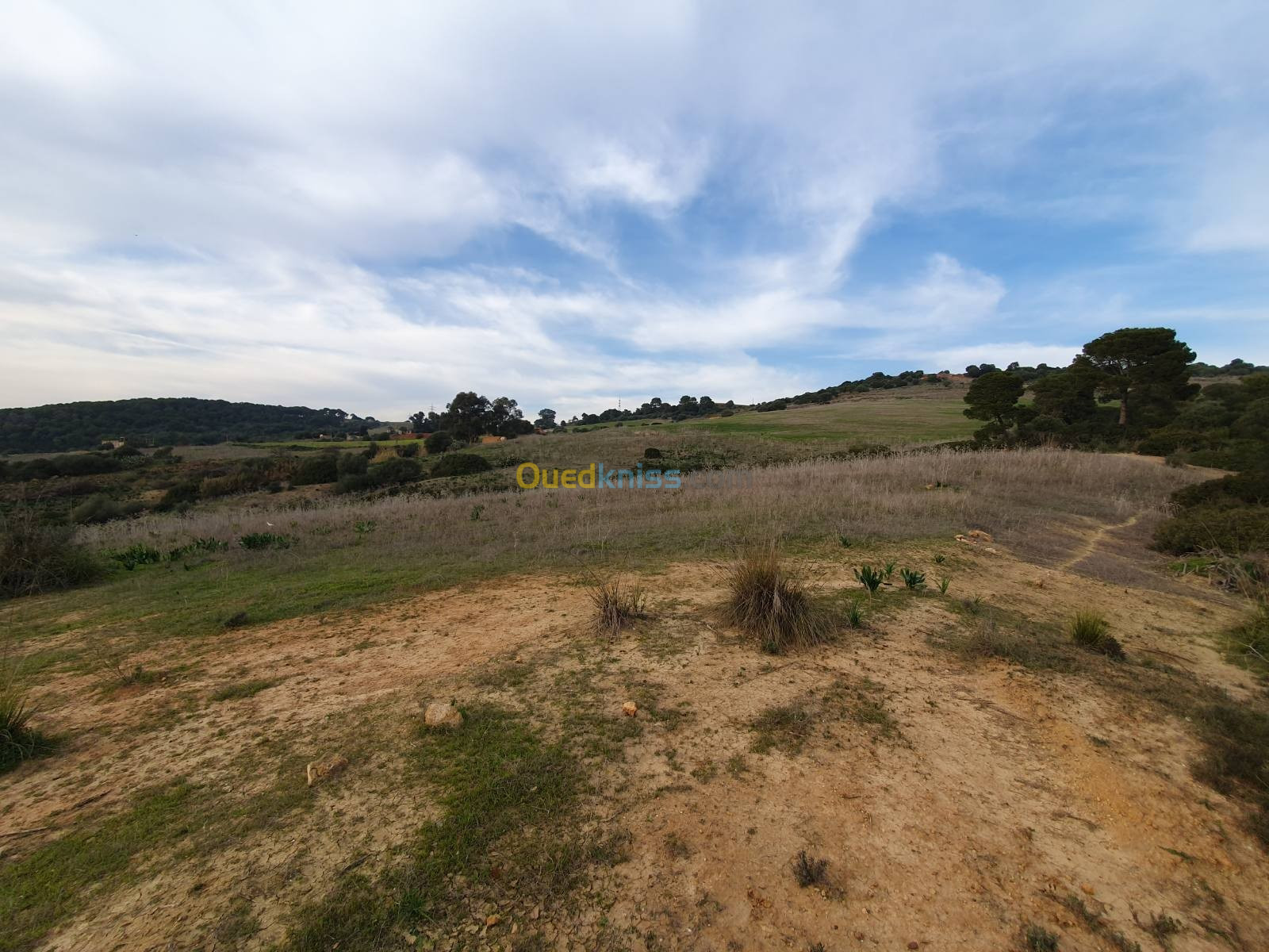 Vente Terrain Alger Zeralda