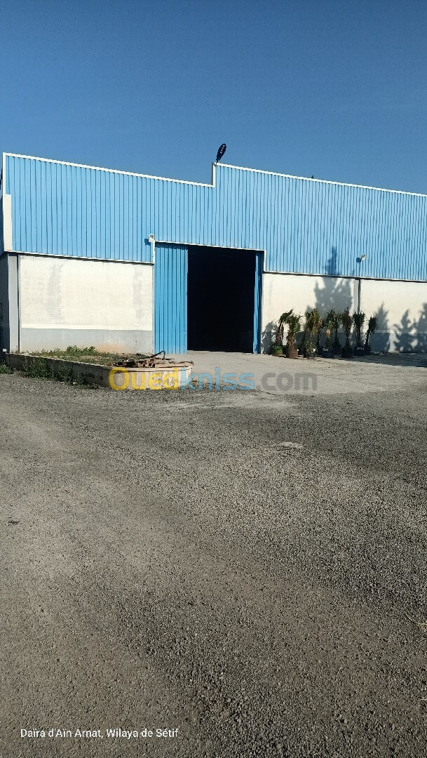 Location Hangar Sétif Ain arnat